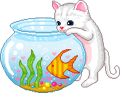 kitten with fishbowl